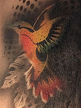 Realistic temporary tattoo on arm - image of a bird  Ottawa face painting.